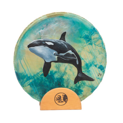 Tambour Océan, Bison- Disponible seulement en EUROPE