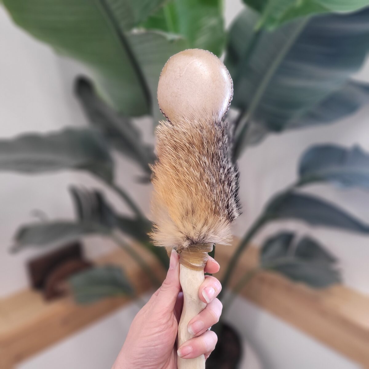 Hochet Chamanique, Coyote