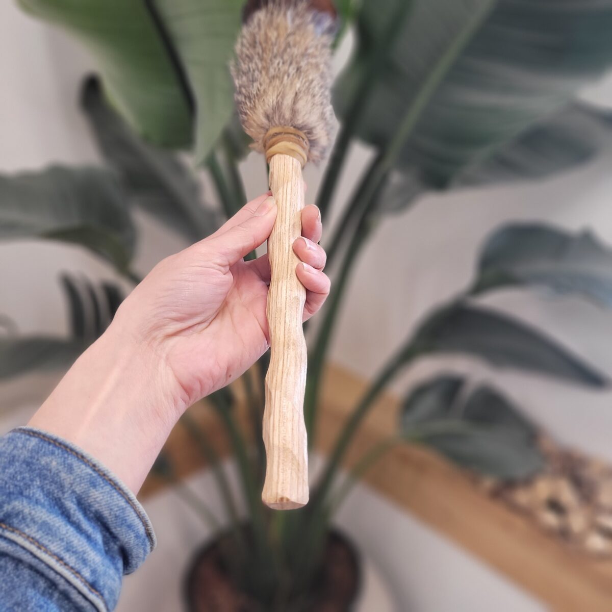 Hochet Chamanique, Coyote