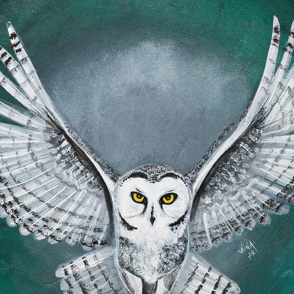 Tambour à main Unis-Son Peint - Disponible seulement en EUROPE