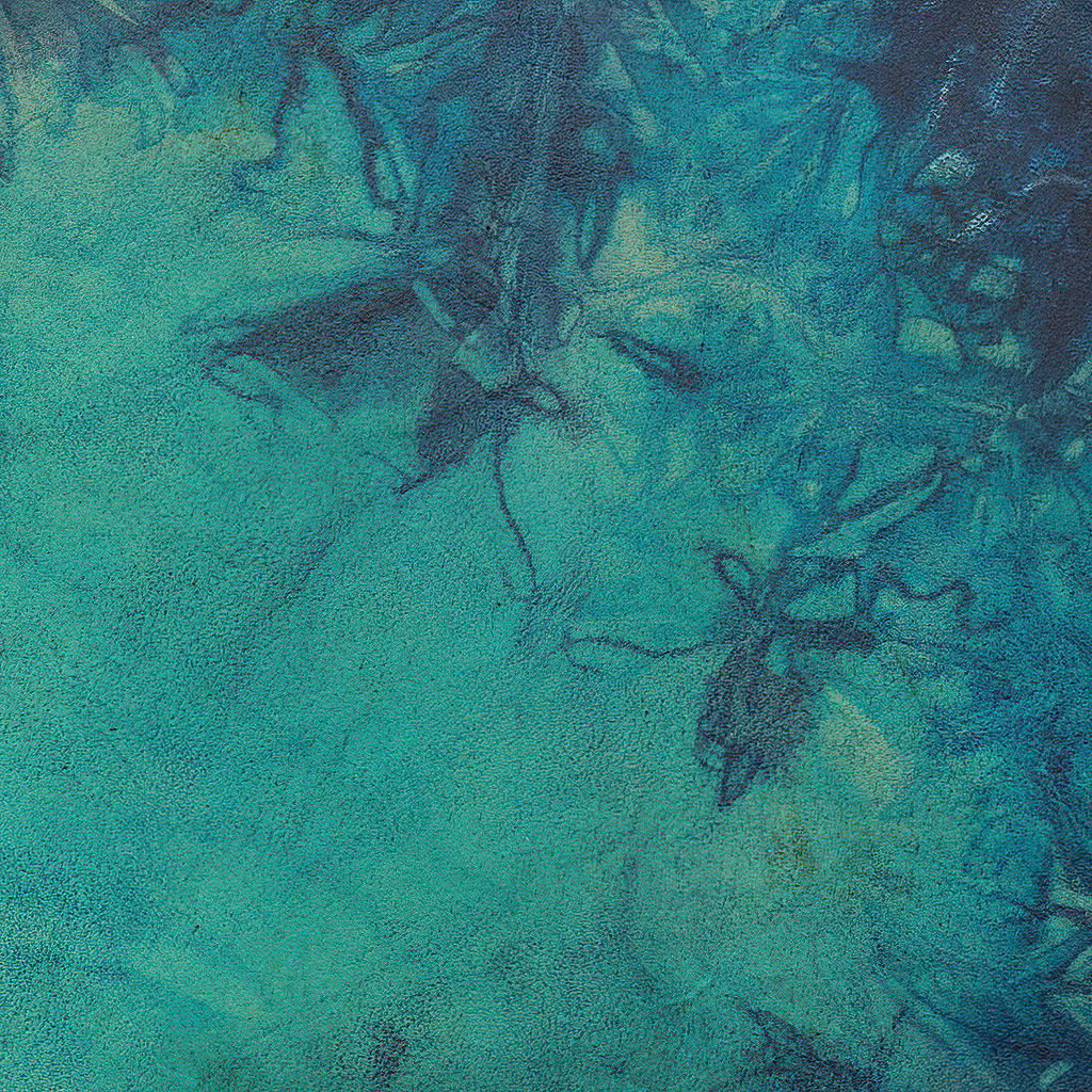 Tambour Océan, Bison- Disponible seulement en EUROPE