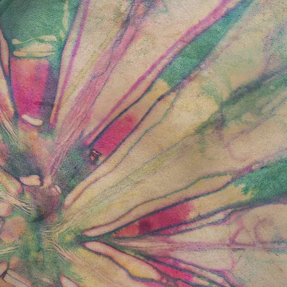 Tambour à main Unis-Son, Bison - Disponible seulement en EUROPE